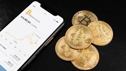 Суд приговорил к семи годам за махинации с криптовалютой блогера Битмаму