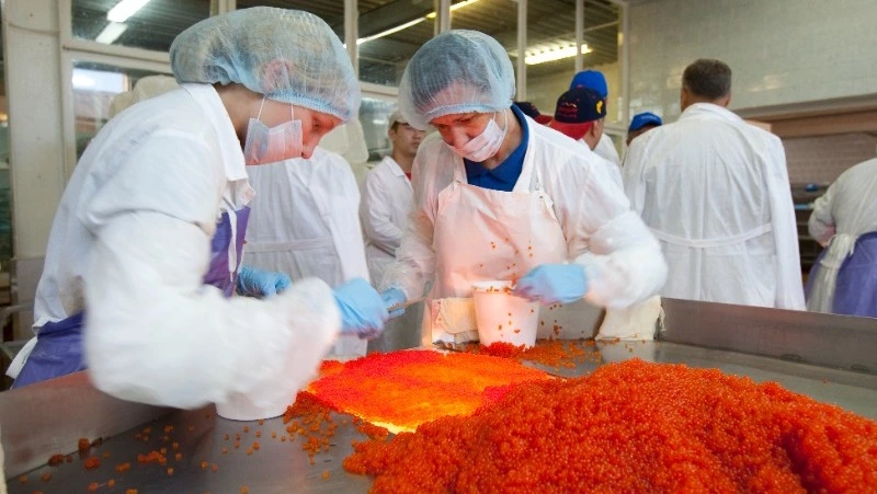 Россельхознадзор проверил 1,2 тысячи тонн икры на качество в Сахалинской области