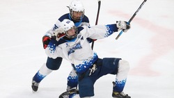 Игроки «Кристалла» проиграли сопернику из Электростали на первенстве Москвы по хоккею