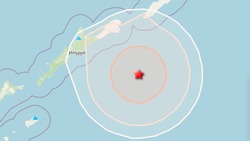 Землетрясение магнитудой 4,5 зарегистрировали возле Южных Курил 31 марта