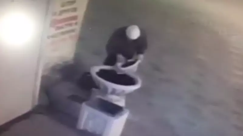 У торгового центра в Южно-Сахалинске бабушка украла 80 фиалок с клумбы