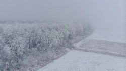 Погибли двое: на Камчатке нашли пропавших туристов 
