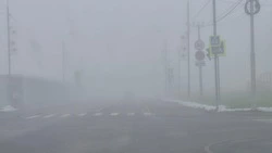 Туман накроет Южно-Сахалинск вечером 17 октября 