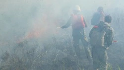 Осень не отпускает: в Корсакове полыхали 30 кв. метров травы