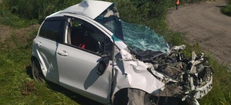 Ребенок и двое взрослых погибли в столкновении поезда с иномаркой в Амурской области