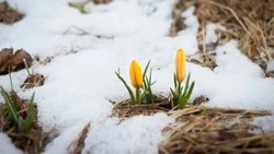 Церковный праздник 5 апреля 2025: что нельзя делать в этот день, приметы 