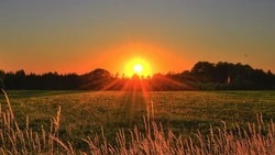 31 градус тепла: летняя жара объявилась в Тымовском районе Сахалина