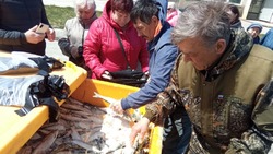 25 тонн свежей рыбы бесплатно получили сахалинцы и курильчане с начала 2022 года