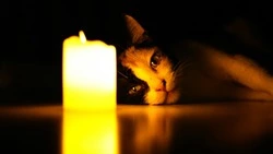 Несколько планировочных районов Южно-Сахалинска оставили без электричества 17 июля 