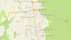 Прививку от ковида сахалинцы поставят с помощью 2ГИС