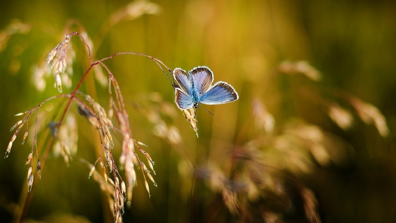 Синоптики рассказали, что ждет сахалинцев на следующей неделе