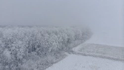 Школы Южно-Сахалинска перевели на дистанционное обучение из-за непогоды 28 января 