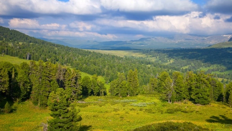 Церковный праздник 3 июля 2024: что нельзя делать в этот день, приметы
