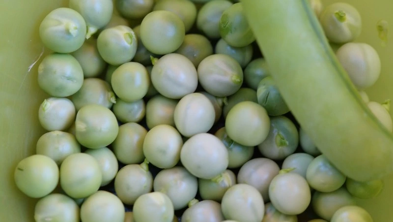 Народные приметы на 9 мая: что нельзя делать в день Глафиры Горошницы