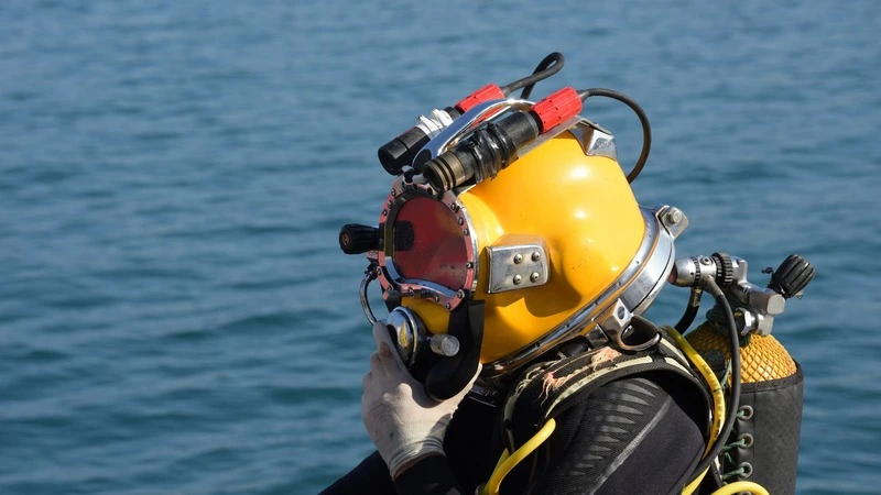 Морских ежей на 700 тысяч рублей выловил водолаз-браконьер на Сахалине