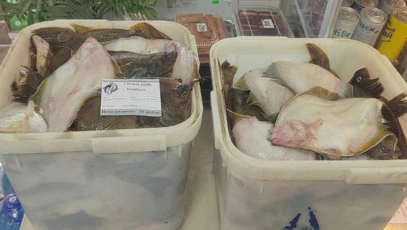 Камбалу по 56 рублей за килограмм привезли в село Ильинское 29 июня