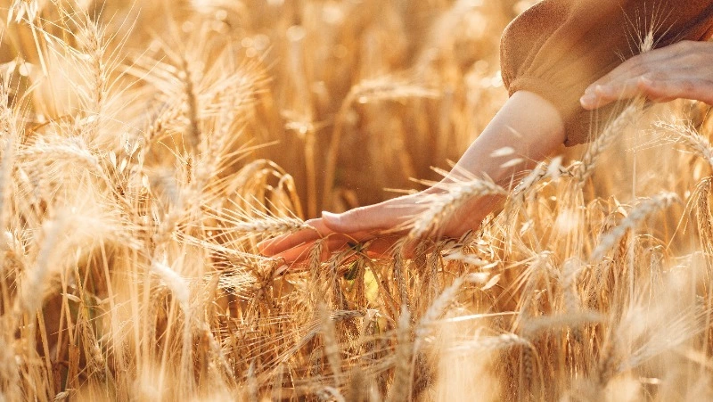 Приметы обо всем на 1 августа 2023 года: что можно и нельзя делать в этот день