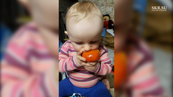 Конкурс «Жги, детка!»: Степан и самая вкусная помидорка в мире