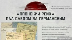 «„Японский рейх“ пал следом за германским»: Минобороны запустило мультимедийный проект