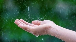 Дождь и +9 градусов: синоптики рассказали о погоде на длинные выходные на Сахалине