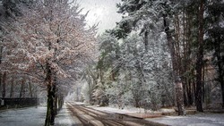 Снег на севере, дождь на юге: какой будет погода на Сахалине и Курилах в четверг