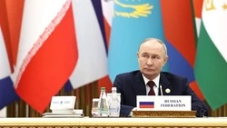 ВЦИОМ: более 80% россиян доверяют Владимиру Путину