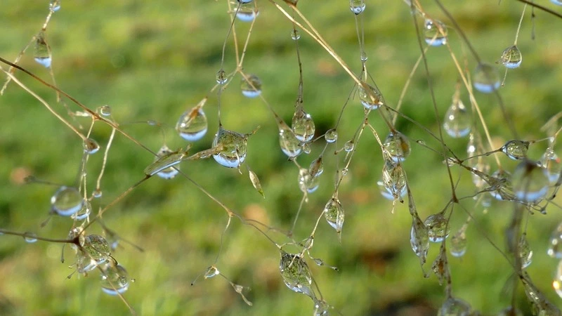 Сахалинские синоптики рассказали, когда циклон покинет область