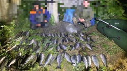 Сотрудники сахалинской рыбоохраны выявили за неделю более 120 нарушений 