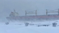 Обследование севшего на мель на Сахалине судна AN YANG 2 отложили из-за непогоды