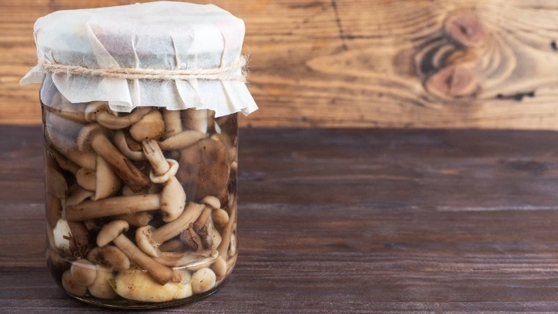 Как засолить грибы на зиму в домашних условиях: простой рецепт