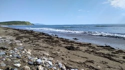 Пропавшую студентку политехнического центра нашли в Южно-Сахалинске