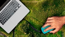 Сахалинских школьников пригласили на Всероссийскую онлайн-олимпиаду по окружающему миру и экологии