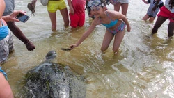 Остров в стиле «баунти». Часть 1