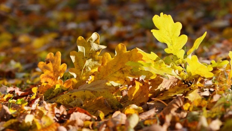 Церковный праздник 28 октября 2024: что нельзя делать в этот день, приметы