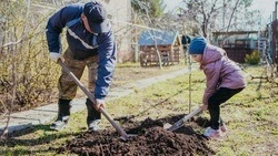 Весенняя перезагрузка