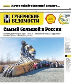 Бюджет и откровения многодетной матери: анонс «Губернских ведомостей» от 23 ноября