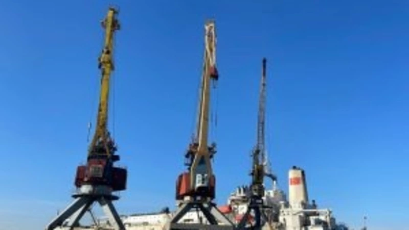 Экспорт рыбы с Сахалина и Приморья с начала года увеличился на 22%