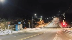 Дорожные службы приступили к расчистке трасс Сахалина от снега