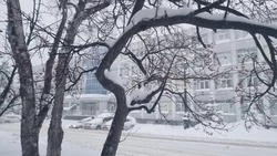 На маршруты Южно-Сахалинска выпустили 70 автобусов