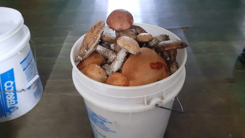 Церковный праздник 7 сентября 2024: что нельзя делать в этот день, приметы