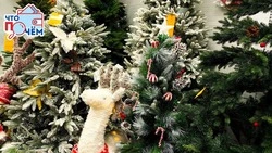 Золотая мишура: обзор цен на елочные украшения в Южно-Сахалинске 