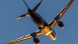 Самолеты станут чаще летать из Хабаровска в Оху