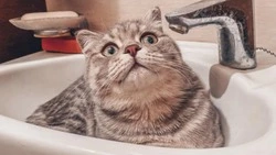 Часть Южно-Сахалинска осталась без холодной воды на пять часов 17 сентября 