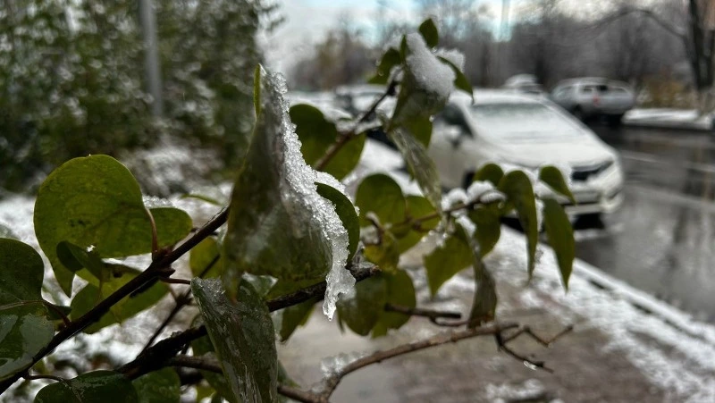 Мороз до -4 градусов и снег спрогнозировали синоптики в Южно-Сахалинске на 7 ноября