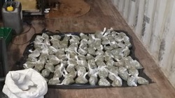 Сахалинские полицейские изъяли более 3 кг марихуаны у предполагаемых дилеров