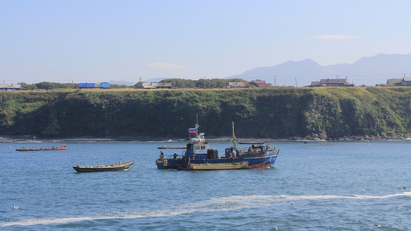 Политолог раскрыл планы Японии по возвращению Курильских островов