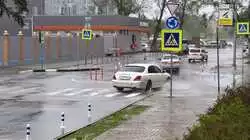 Один час жизни мини-кольца засняли в Южно-Сахалинске