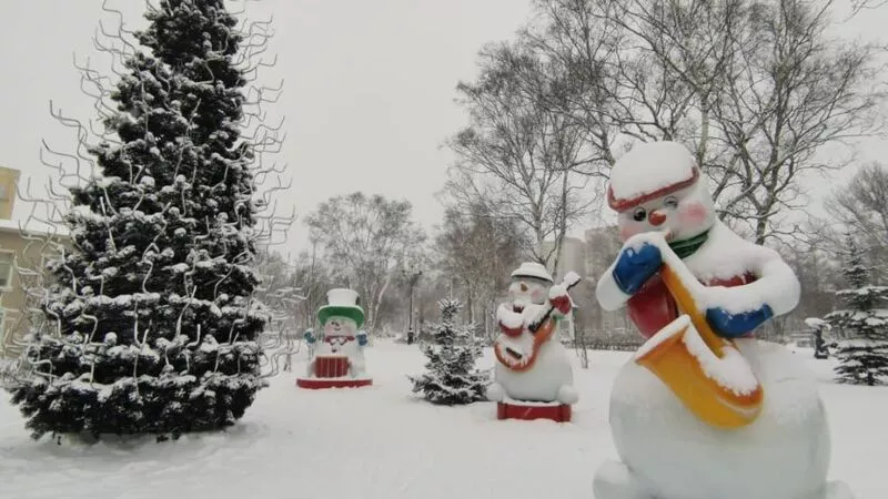 Метель и ураганный ветер захватили все районы Сахалина