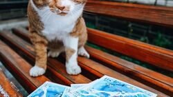 Популярный тревел-блогер разыгрывает открытки с Итурупом
