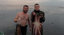Большим уловом морских деликатесов похвастали рыбаки Сахалина